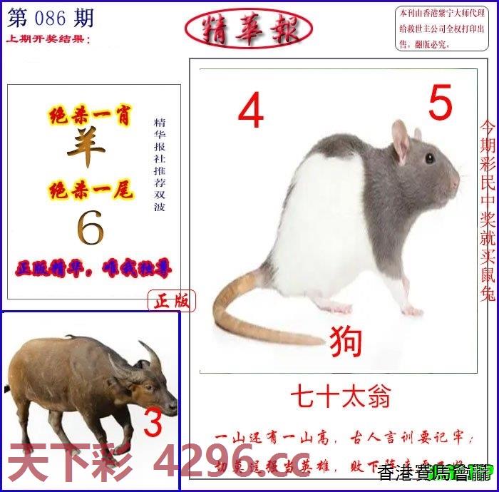 新精华报报